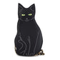 Black Cat Bag