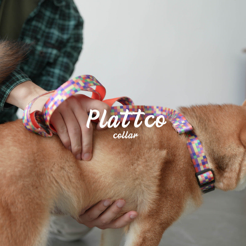 Plaid Collar Leash