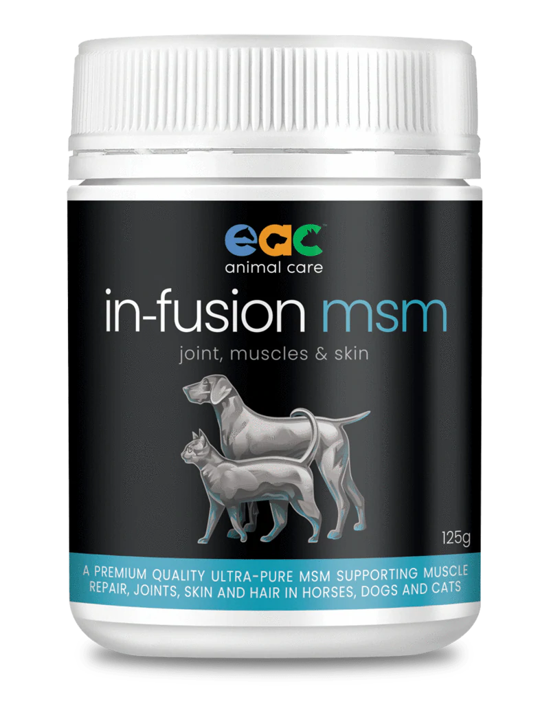 Infusion MSM