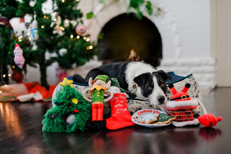 Merry Woofmas Toys