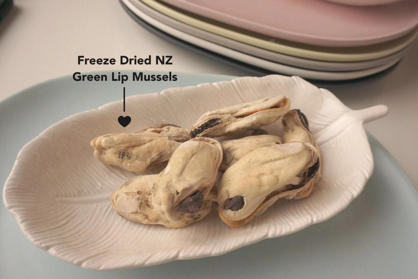 FDA Freeze Dry Australia Green Lip Mussels 70g
