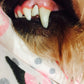 Toothbrush 360 degrees